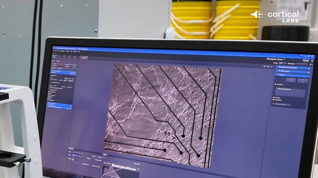 大乐透期号,专家质合分,析前区十码,BaoWei,Sports,宝威体育,体育直播,体育赛事,APP下载,官方网地址