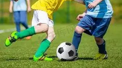 宝威体育 产品 010524 vrj