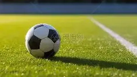 宝威体育 产品 010628 ztj